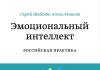 Sergey Shabanov - Inteligência Emocional