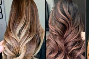 Ombre for dark hair: features, varieties and tips for choosing a shade Ombre dyeing for long hair