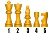 Як навчитися грати в шахи з нуля