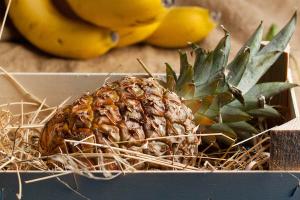 Näpunäiteid, kuidas valida küpset ananassi ja kuidas seda õigesti kodus hoida