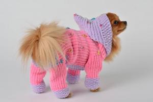 Knitting clothes for dogs pattern