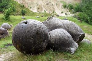 Mysterious trovant stones Trovants - stones or plants